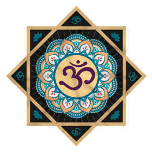 zen transparente omnow diseños