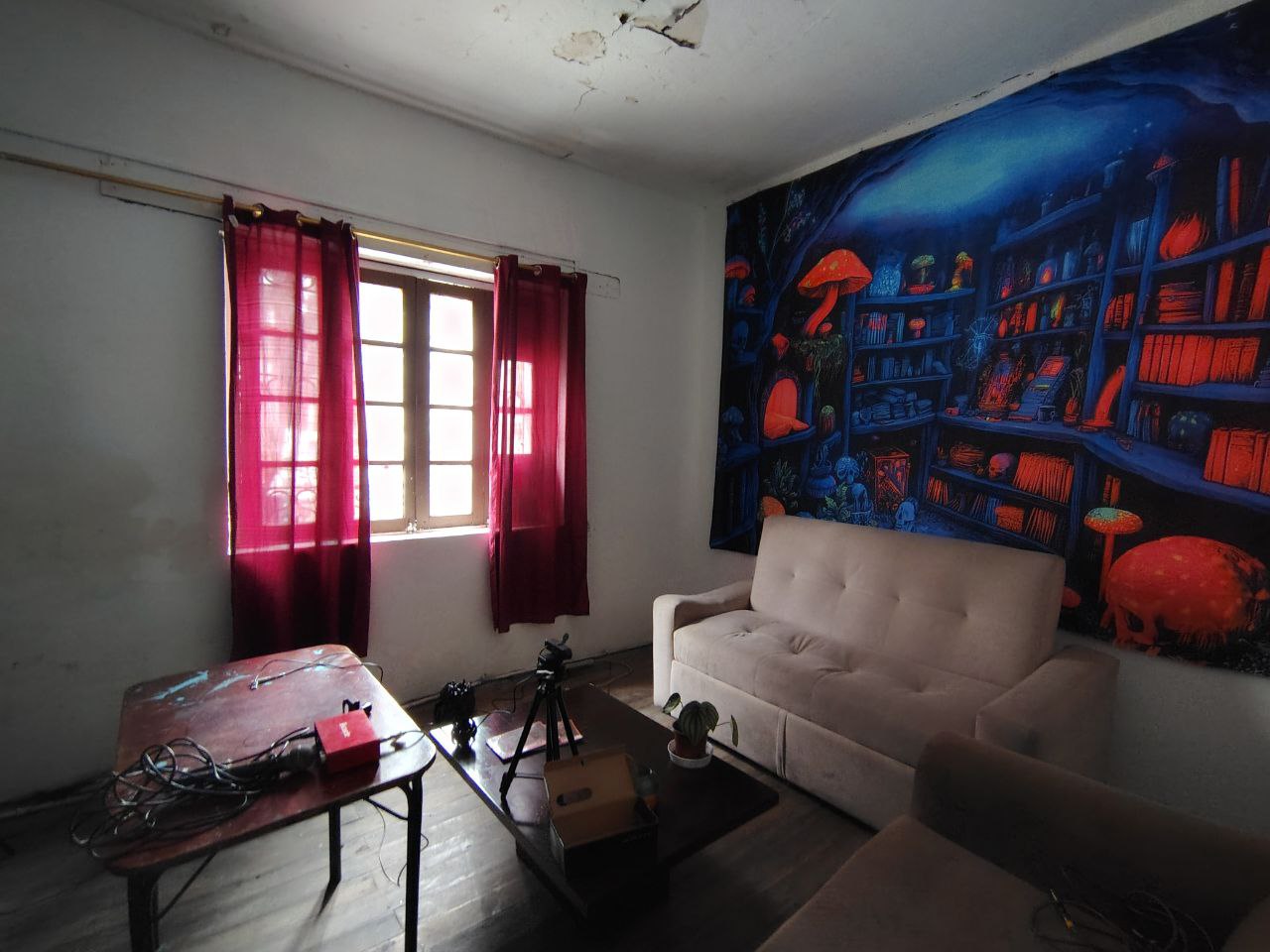 photo 2026 03 18 18 36 47 (3)